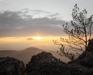 Sonnenuntergang im Bayerischen Wald, Silberberg
